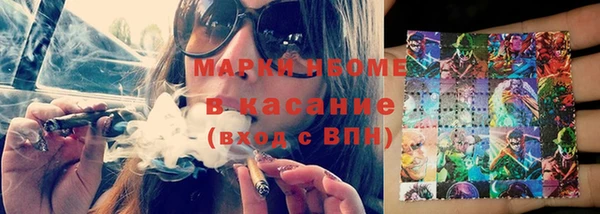 индика Алексеевка