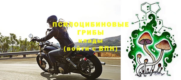 apvp Алексин