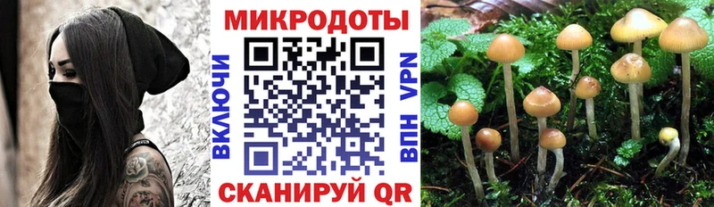 Галлюциногенные грибы прущие грибы Беслан